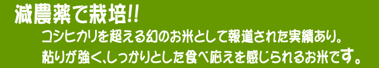 北海道産 減農薬米おぼろつき【あじわいの里 中野商店 三角山市場】