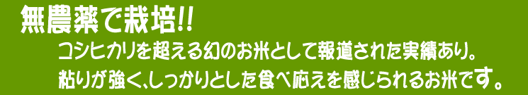北海道産 無農薬米おぼろづき【あじわいの里 中野商店 三角山市場】
