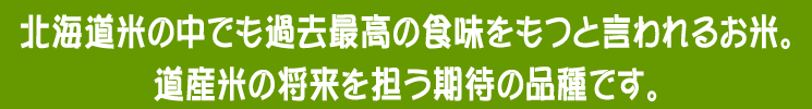 北海道産 減農薬米ゆめぴりか【あじわいの里 中野商店 三角山市場】