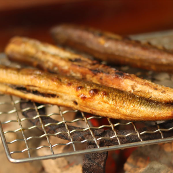 炭焼きやアウトドアに最適