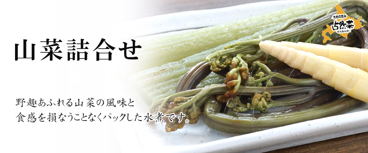 山菜詰合せ 230gメイン画像