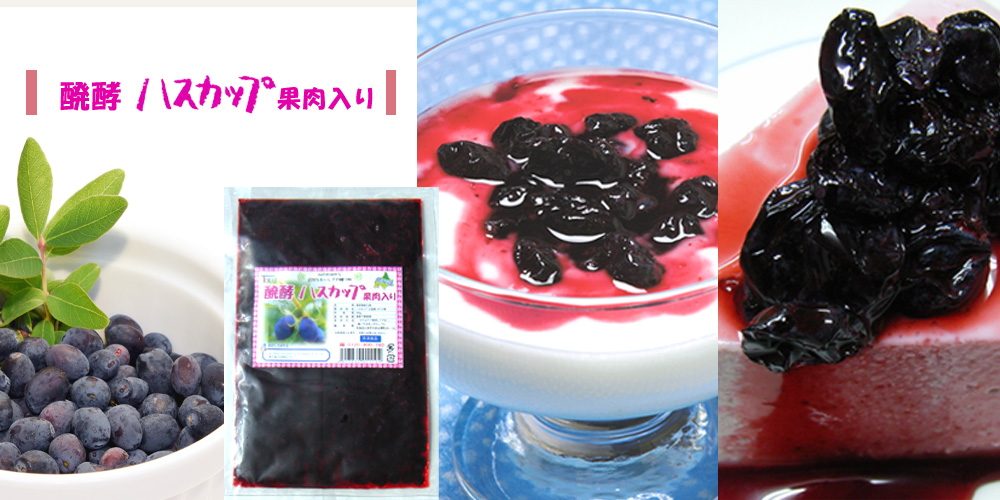醗酵ハスカップ果肉入り 500g【TKSタングロン】