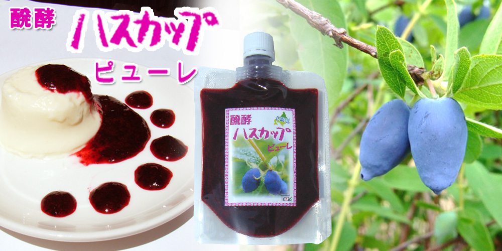 醗酵ハスカップ ピューレ 200g【TKSタングロン】