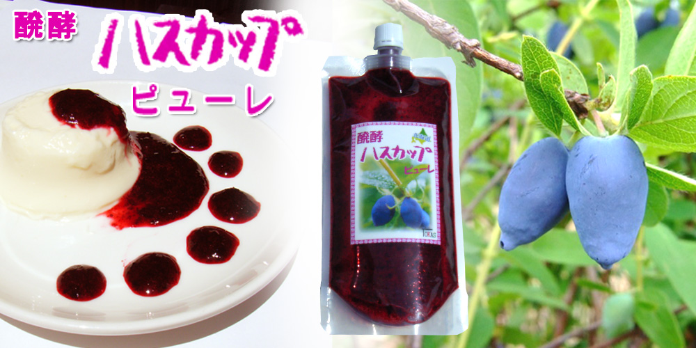醗酵ハスカップ ピューレ 400g【TKSタングロン】