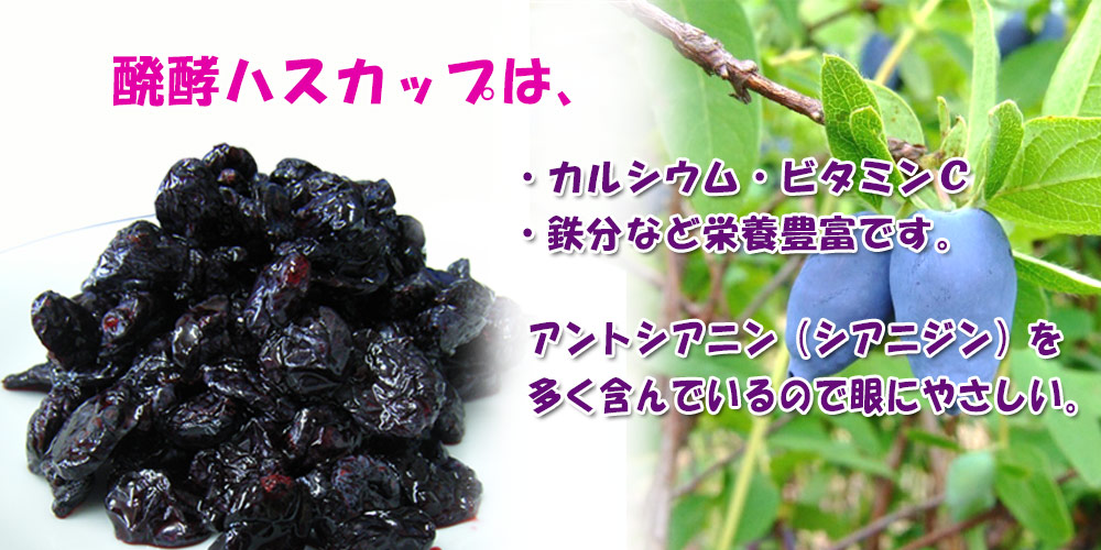 醗酵ハスカップ 果肉のみ 500ｇ【TKSタングロン】