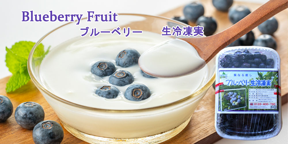 ブルーベリー生冷凍実 400g【TKSタングロン】