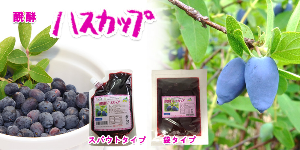 醗酵ハスカップ 500g【TKSタングロン】