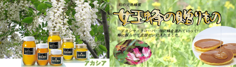 蜂蜜アカシア