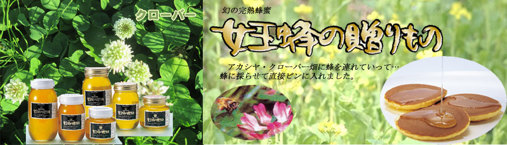 蜂蜜クローバー 蜂蜜クローバー