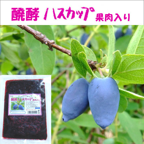ハスカップ果汁