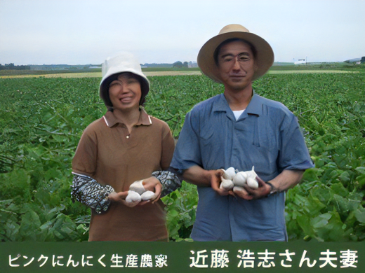 減農薬・有機質肥料でのにんにく栽培を完成