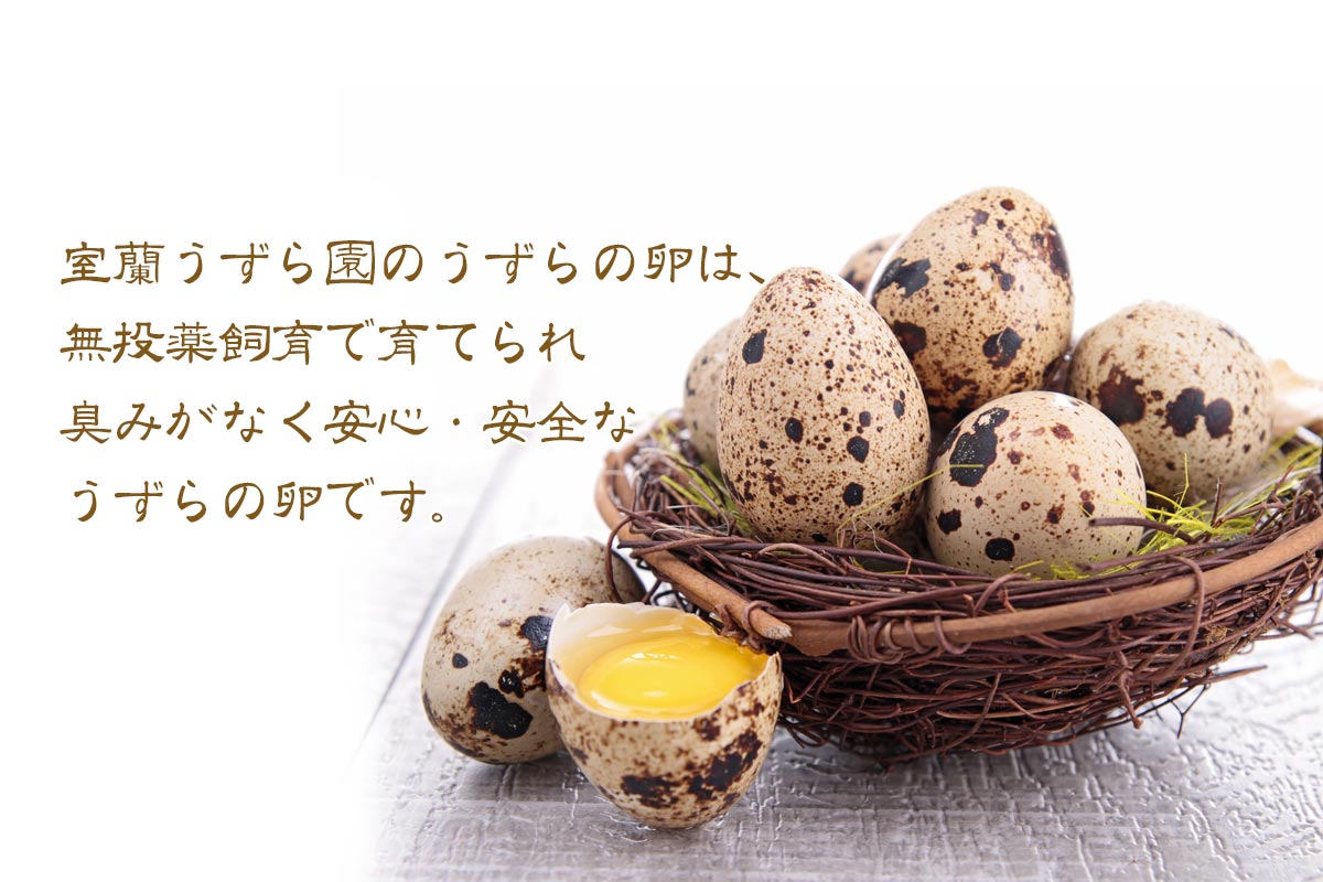 生うずら卵10個パック詰め【室蘭うずら園】