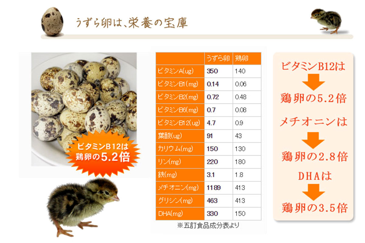 ”室蘭うずらのうずら卵は、栄養の宝庫です。