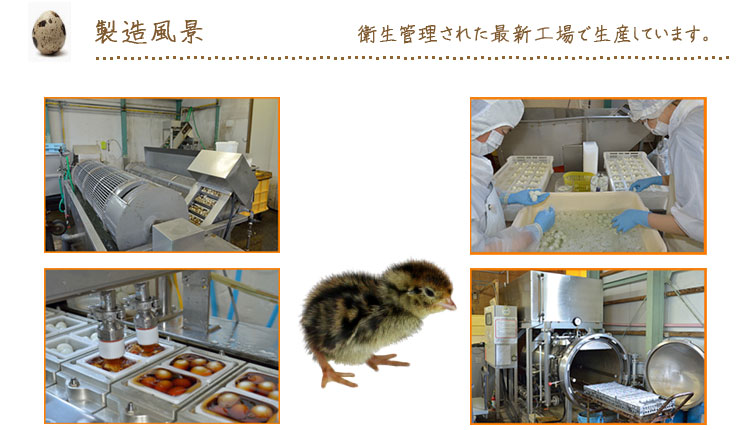 室蘭うずらのプリン独自の技術で臭みのない北海道室蘭うずら卵
