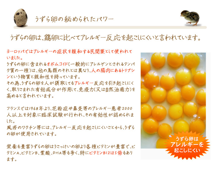 室蘭うずらの卵の秘められたパワー