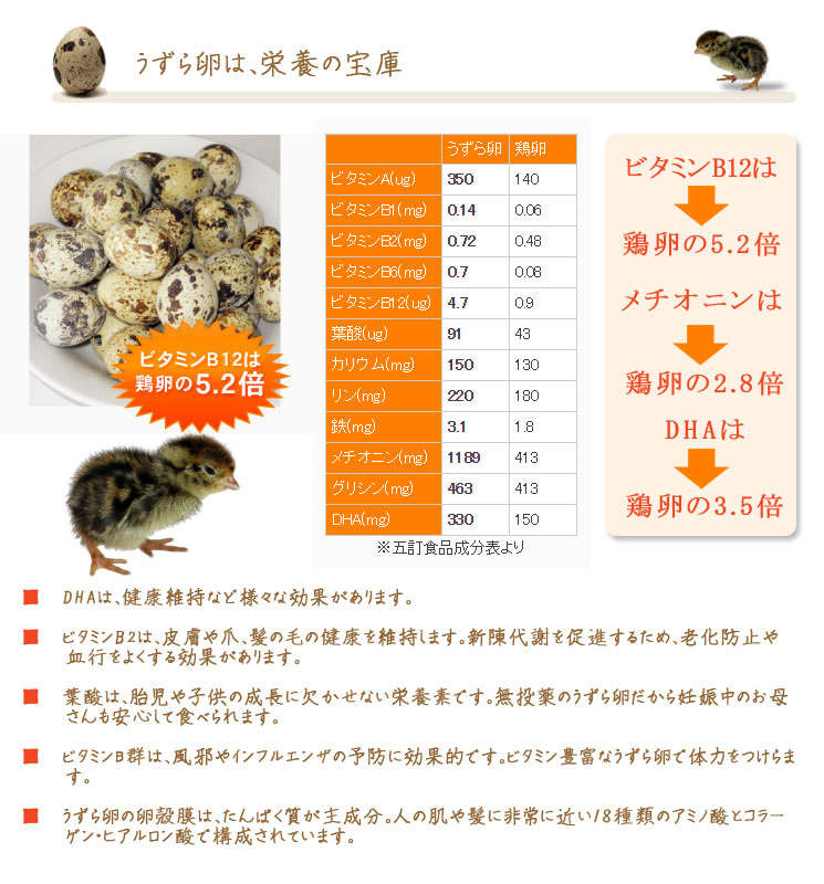 室蘭うずらの卵は栄養の宝庫