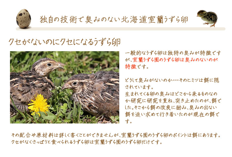 室蘭うずらの卵の特徴
