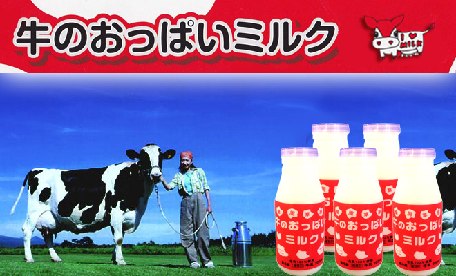 牛のおっぱいミルク白　牛乳5本セット【摩周草原 渡辺体験牧場】