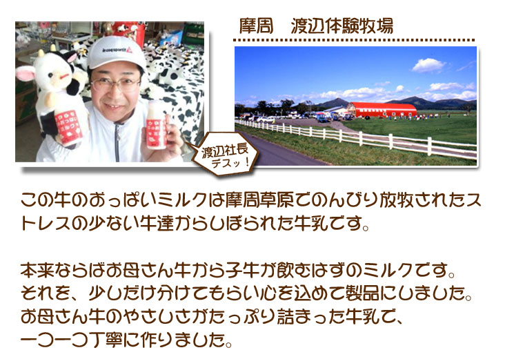 渡辺体験牧場の紹介【摩周草原 渡辺体験牧場】