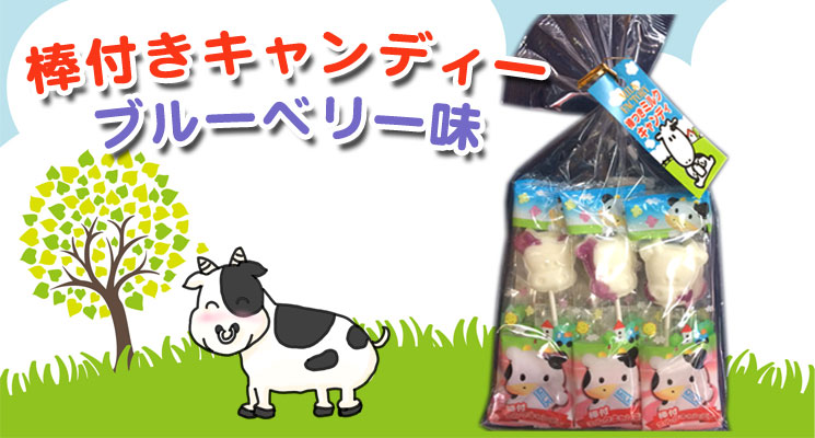 棒付きキャンディーブルーベリー味（6本入）【摩周草原 渡辺体験牧場】